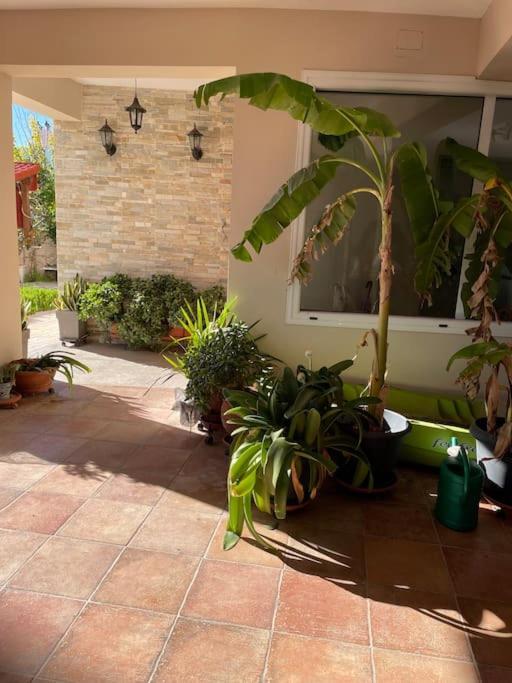 Sea View Studio Kirra Екстериор снимка