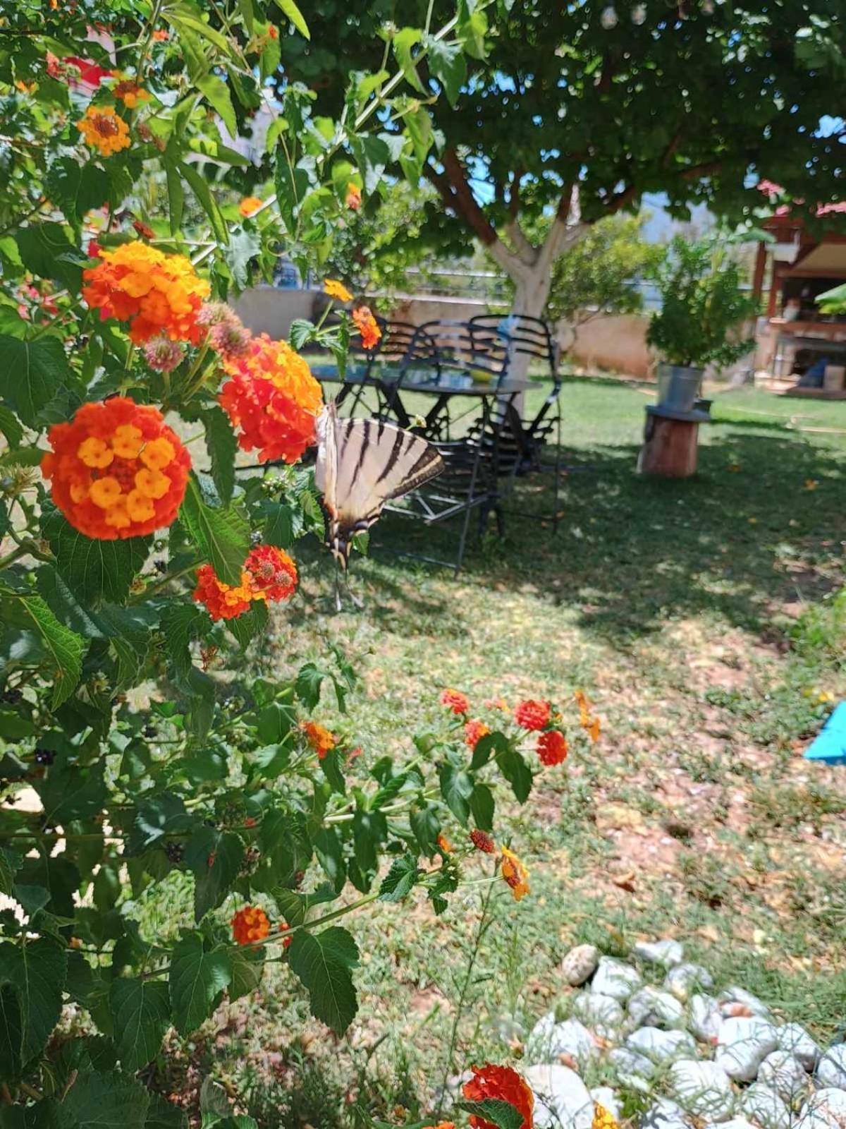 Sea View Studio Kirra Екстериор снимка